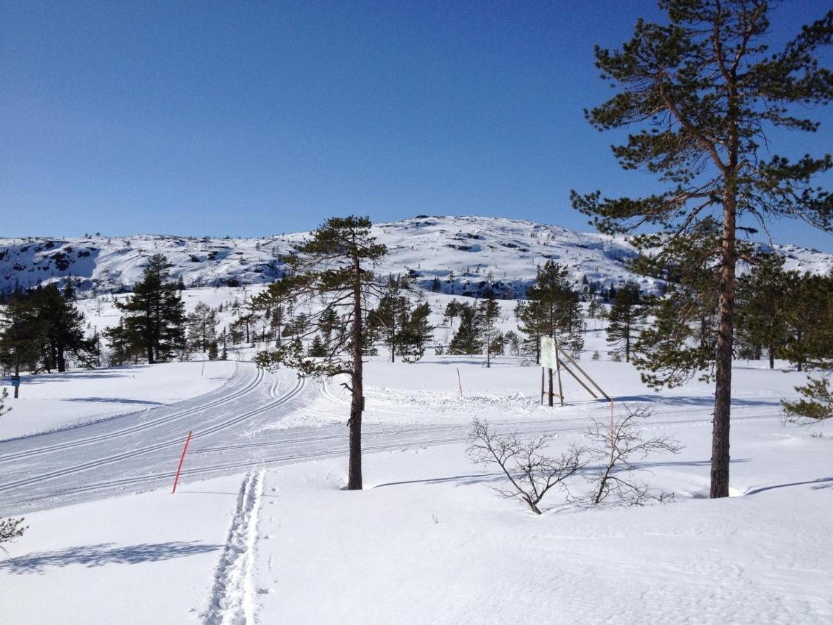 Vradal Panorama - Tiurasvegen 39 Villa Exterior foto